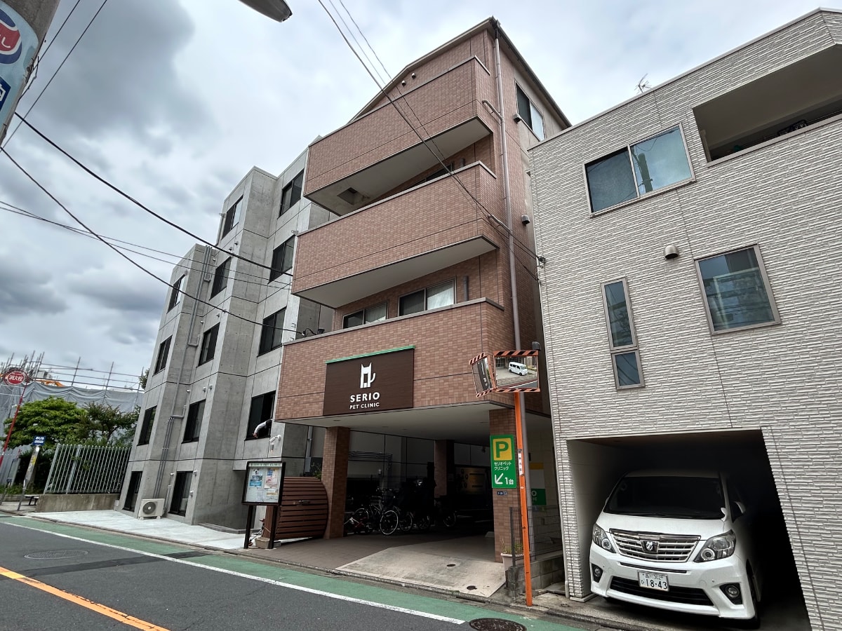 v20260627150649/fresh/building/J00100395843_6
