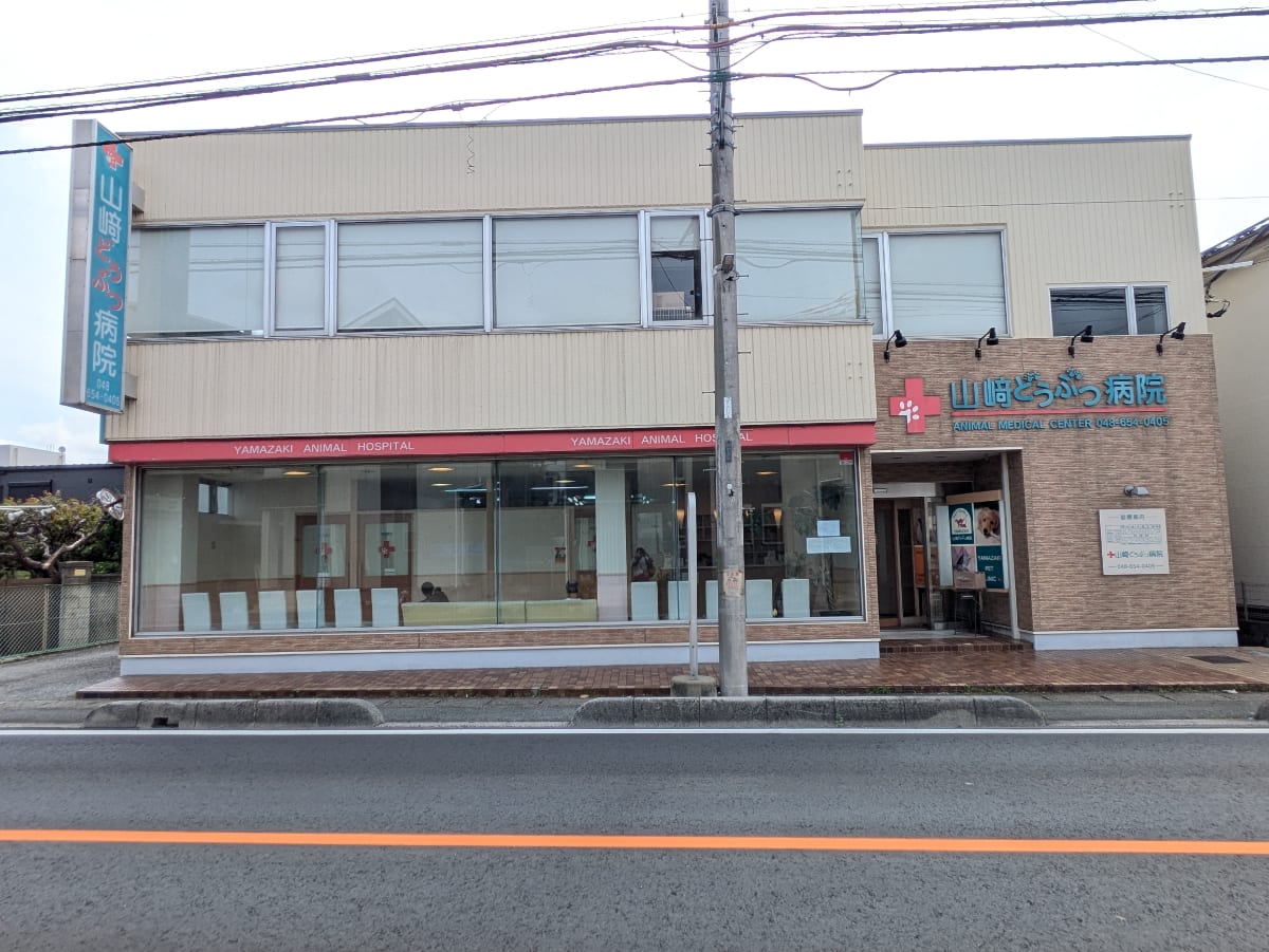 v20260703150756/fresh/building/J00100370295_5
