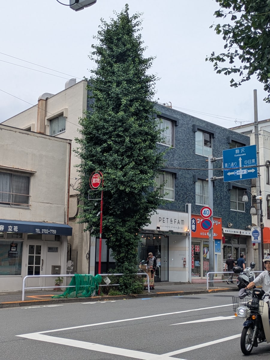 v20260703150756/fresh/building/J00100501254_7