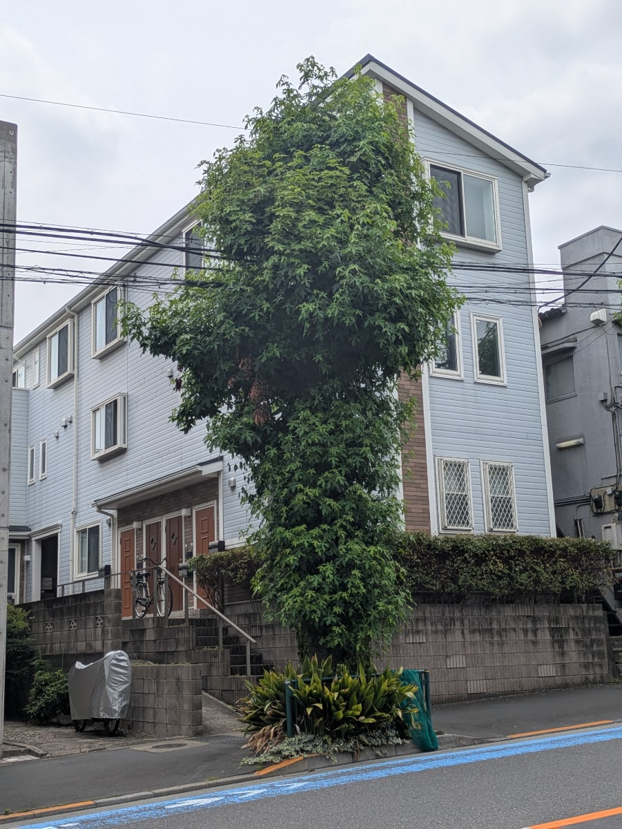 v20260704150638/fresh/building/J00100398079_8