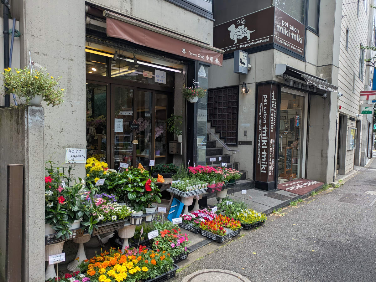 v20260704150638/fresh/building/J00100412602_12
