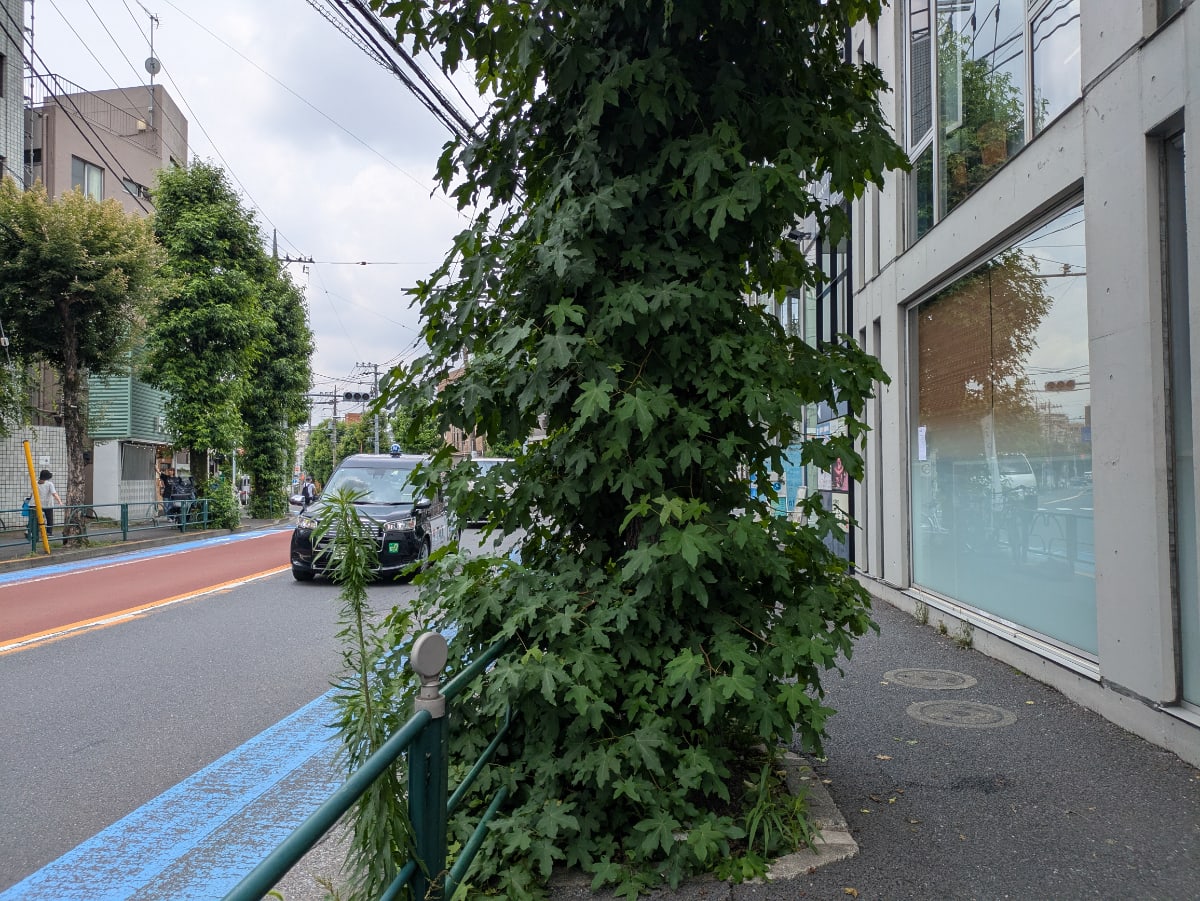 v20260706150910/fresh/building/J00100392933_2