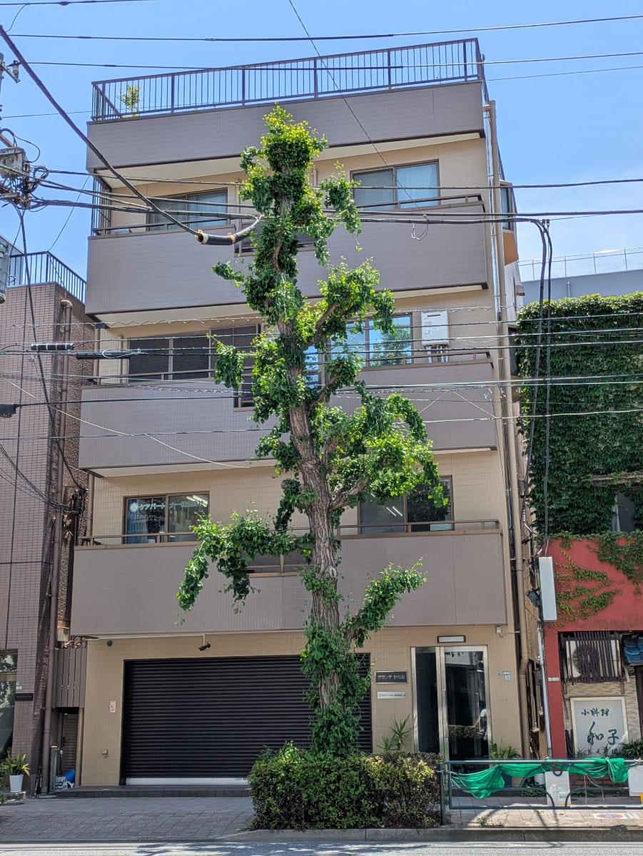 v20260715150900/fresh/building/J00100358248_1