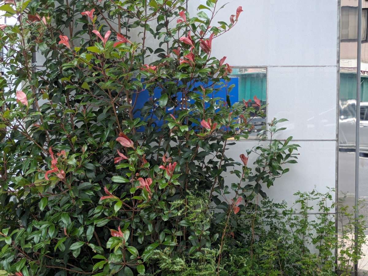 v20260715150900/fresh/building/J00100372501_11