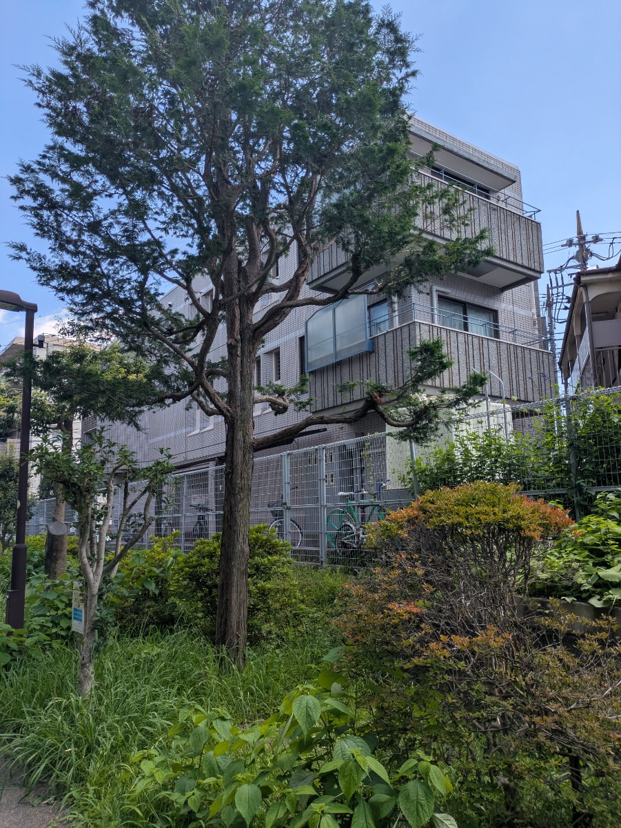 v20260723151009/fresh/building/J00100425725_10