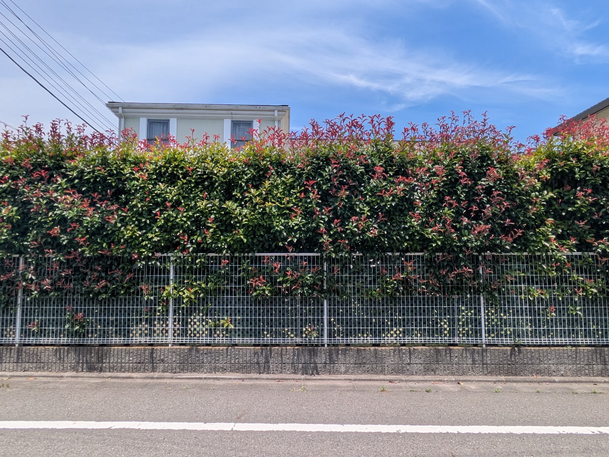 v20260723151009/fresh/building/J00100495804_7