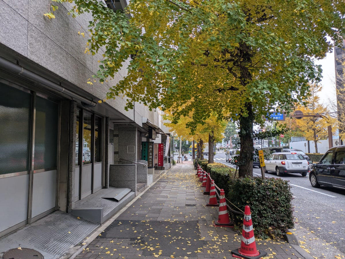 v20260731150959/fresh/building/J00100377016_2