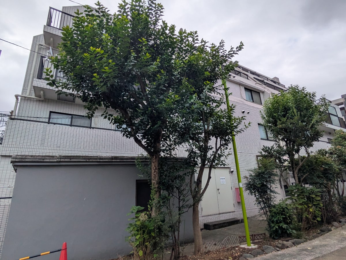 v20260731150959/fresh/building/J00100425542_13