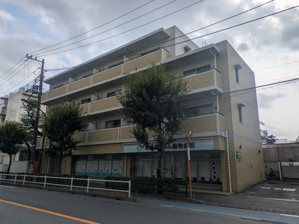 v20260731150959/fresh/building/J00100609950_1