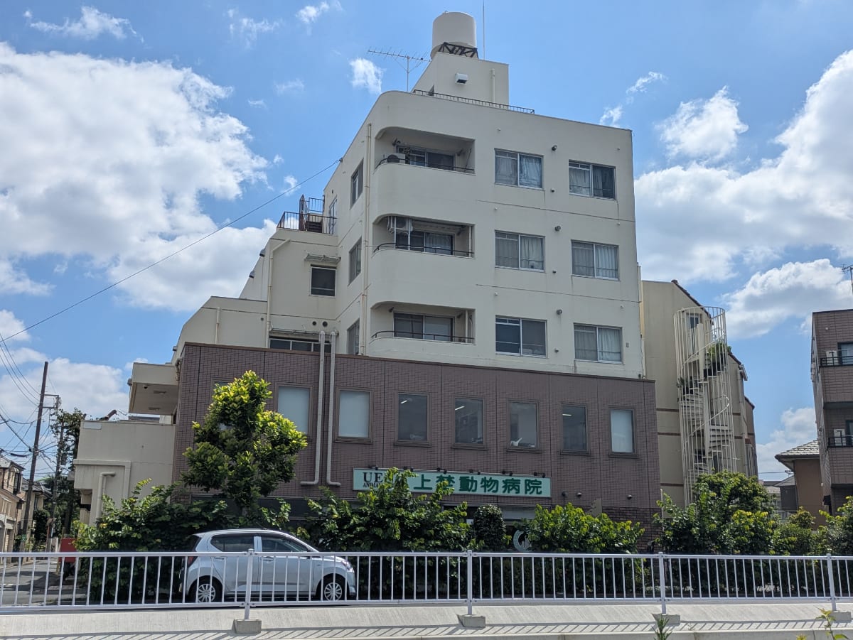v20260812150645/fresh/building/J00100396528_1