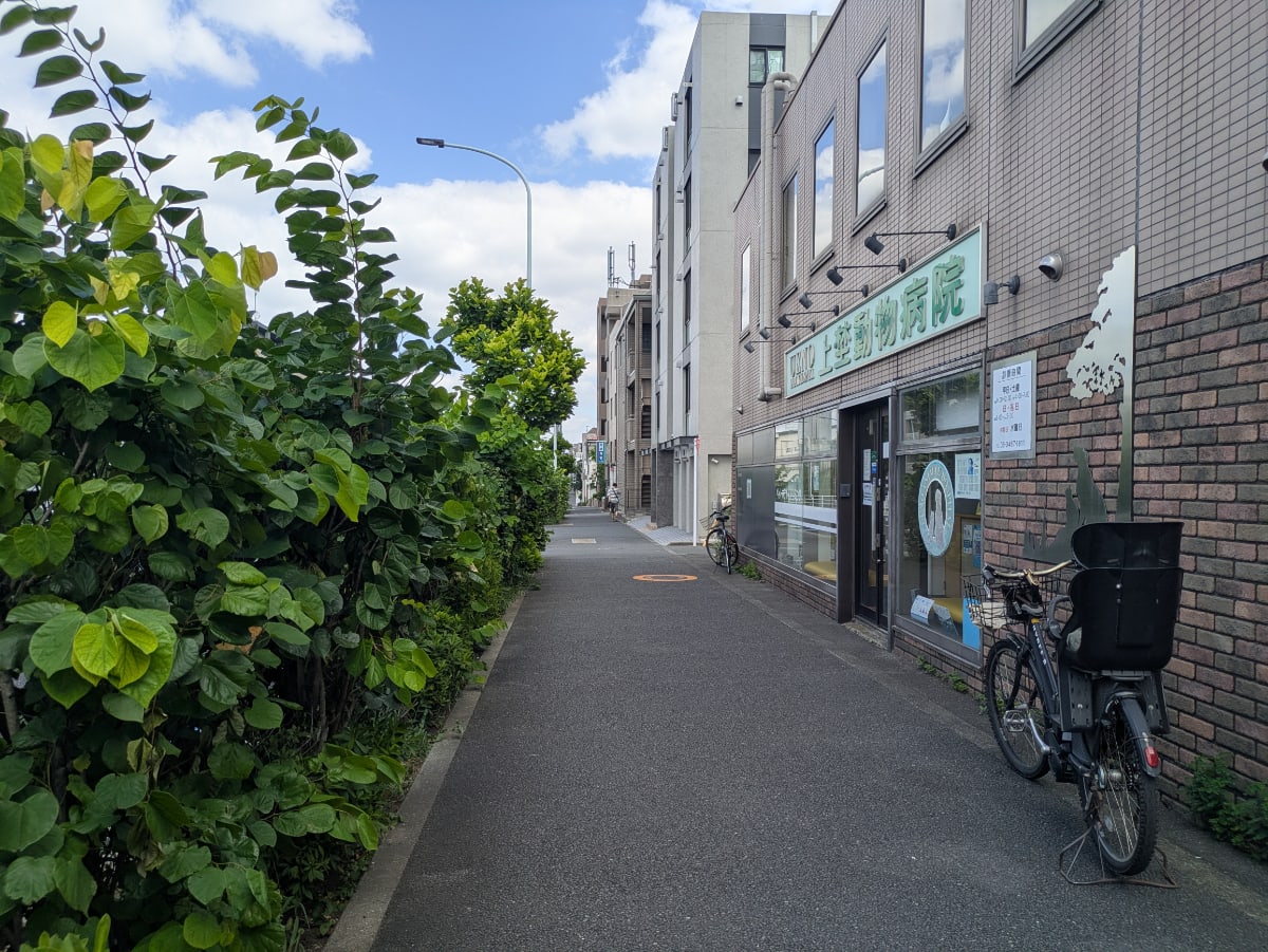 v20260812150645/fresh/building/J00100396528_19