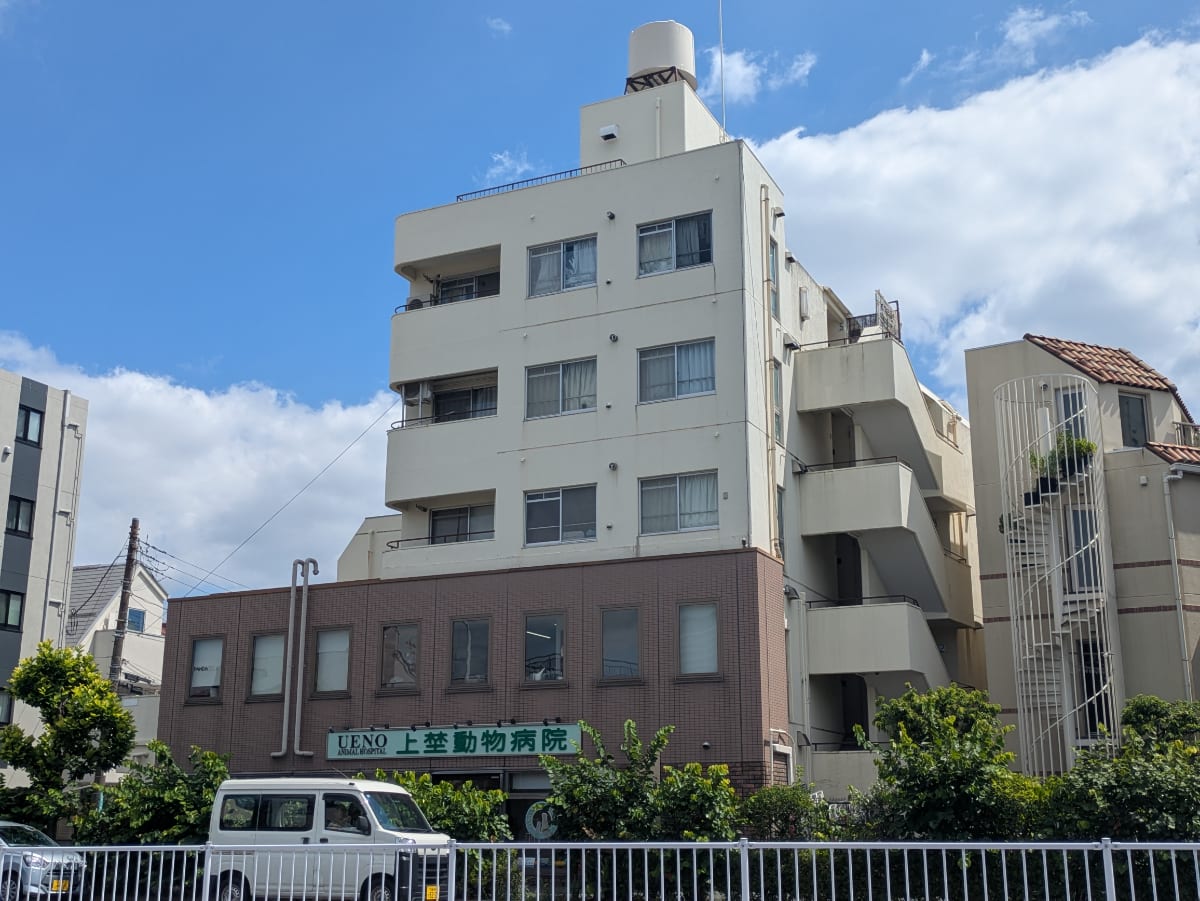 v20260812150645/fresh/building/J00100396528_6