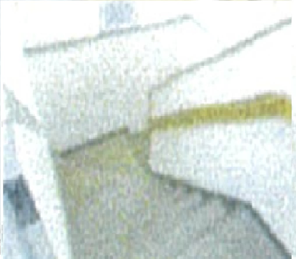 v20260818150758/fresh/building/J00100463789_12