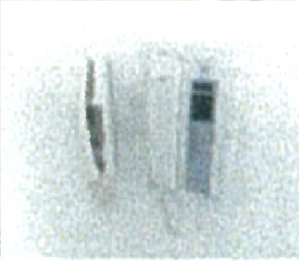 v20260818150758/fresh/building/J00100463789_16