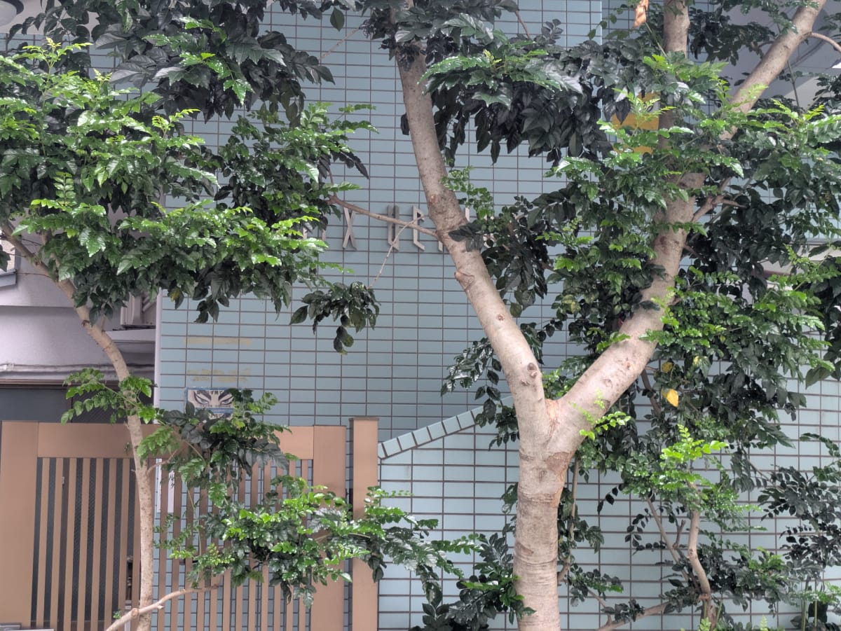 v20260908150910/fresh/building/J00100405002_13