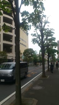 v20230506151907/fresh/building/J00100370508_2