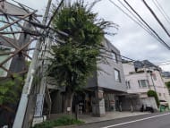 v20240927174107/fresh/building/J00100367966_6