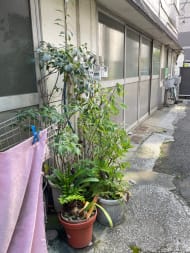 v20241120174114/fresh/building/J00100366212_9