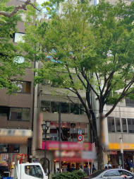 v20241127174058/fresh/building/J00100362470_1