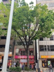 v20241127174058/fresh/building/J00100362470_5