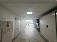 v20241221174033/fresh/building/J00100356983_16
