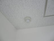 v20250115181524/fresh/room/J00101961022_7