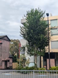 v20250305174101/fresh/building/J00100360264_12