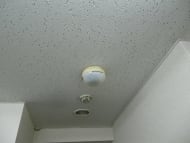 v20250327181414/fresh/room/J00102097345_6