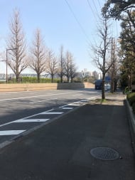 v20250427003014/fresh/building/J00100389441_2