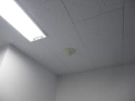 v20250427003014/fresh/building/J00100390704_10
