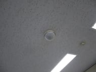 v20250427003014/fresh/building/J00100390803_14