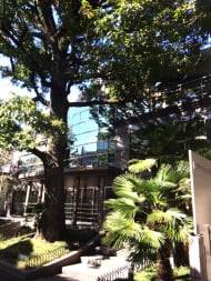 v20250427003014/fresh/building/J00100391811_10