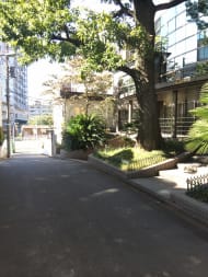 v20250427003014/fresh/building/J00100391811_2