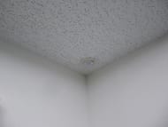 v20250427003014/fresh/building/J00100392536_11
