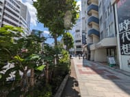 v20250427003015/fresh/building/J00100389391_2