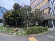 v20250427003015/fresh/building/J00100390767_17