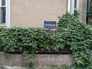 v20250427003410/fresh/building/J00100393111_5