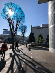 v20250427003410/fresh/building/J00100394164_7