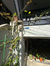 v20250427003805/fresh/building/J00100398075_3
