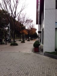 v20250427003805/fresh/building/J00100398313_2