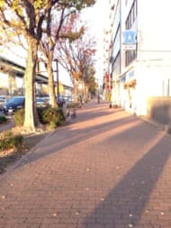 v20250427003805/fresh/building/J00100398888_2