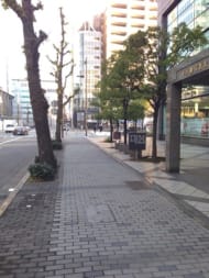 v20250427003805/fresh/building/J00100398908_2
