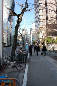 v20250427003805/fresh/building/J00100399573_2
