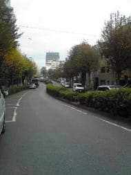 v20250427003805/fresh/building/J00100401544_2