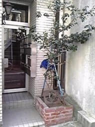 v20250427004119/fresh/building/J00100404147_3