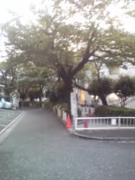 v20250427004617/fresh/building/J00100406040_2