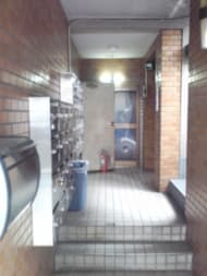 v20250427004617/fresh/building/J00100406062_4