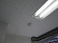v20250427004617/fresh/building/J00100406389_16