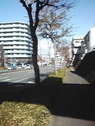 v20250427004617/fresh/building/J00100406943_2