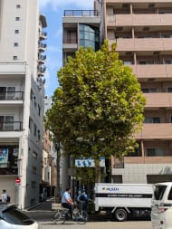 v20250427004617/fresh/building/J00100407181_5